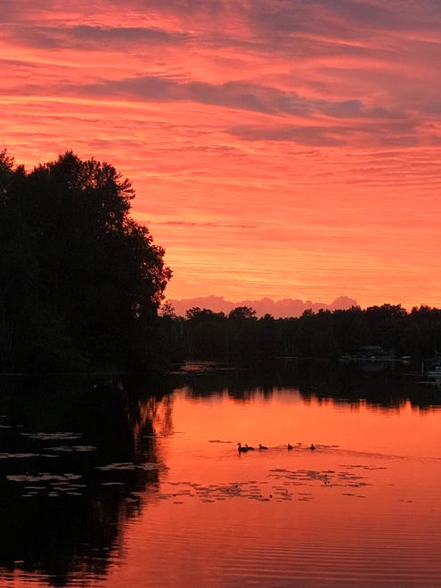 "Red Sky at Night," by Sara Roberts of Grosse Pointe. As she was relaxing at her cottage in Prudenville, "I noticed that the room was taking on a pink hue. When I looked outside the sky was pink and yellow," and soon a vibrant red. As she went outside to take photos, a family of ducks obligingly swam into the frame.