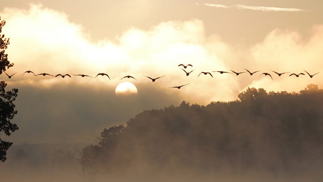 “Morning Flight,” by Robert Kliemann of Westland, oozes atmosphere as a row of Canada geese fly across a sepia-toned, misty Kensington Metro Park at sunrise.