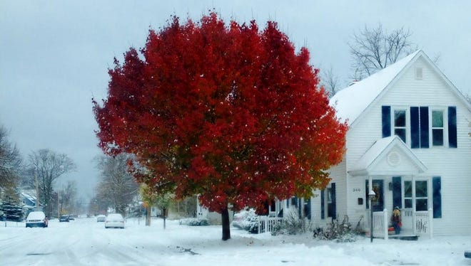 Erin Rajter of Clinton Township took "Beauty of Fall"  last October in Holland, Mich. "I lived in a house down the street and could look out my window every day and see this tree. I didn't think much of the colors since fall was in full bloom. It was one of the first snowfalls of the season. Always in a hurry on my way to class at Hope College and to work, I saw how vibrant the tree was against the blizzard, I reached out my car window and snapped the shot!" A finalist in the Best Enhanced Image category.