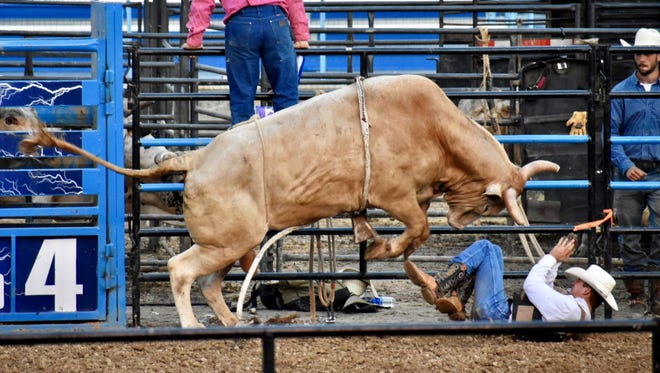 "That's a Whole Lotta Bull," by Caroline Harris of Petersburg, was shot during the Lost Nations Rodeo at the Monroe County Fair earlier this month. "The wanting to know what happens next is almost palpable," she said of her photo. Luckily, the rider wasn't hurt.