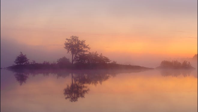 "Misty Seney Sunrise" was taken by Atlee Hart of Farmington Hills at the Seney National Wildlife Refuge near Seney in the Upper Peninsula. "The delicate pinkness of the rising sun accentuating the early-morning mist rising from the placid lake made a scene so beautiful I just had to try to preserve it for everyone to see," he said.