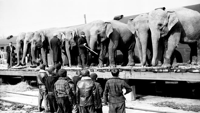 Elephants are brought from the train to a platform on Jan. 30, 1937, as a group of boys watch.