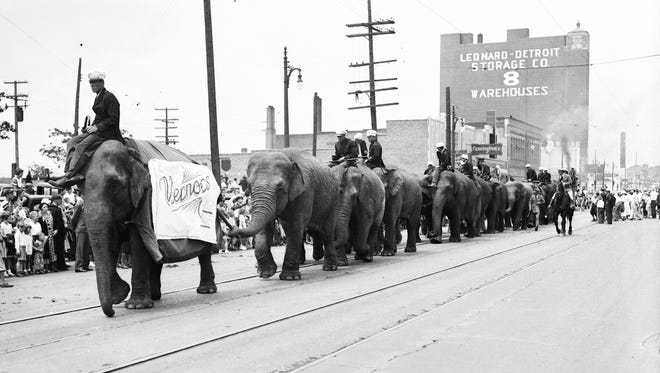 Elephants, one of them carrying a Vernor's ginger ale advertisement, parade down a Detroit street to drum up business for a circus performance in 1935,