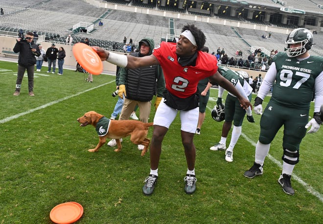 Quarterback Aidan Chiles throws the disc to Zeke the Wonder Dog, who eventually got one possible due to throwing errors after the Michigan State football's spring showcase/scrimmage at Spartan Stadium in East Lansing, Michigan on April 20, 2024.