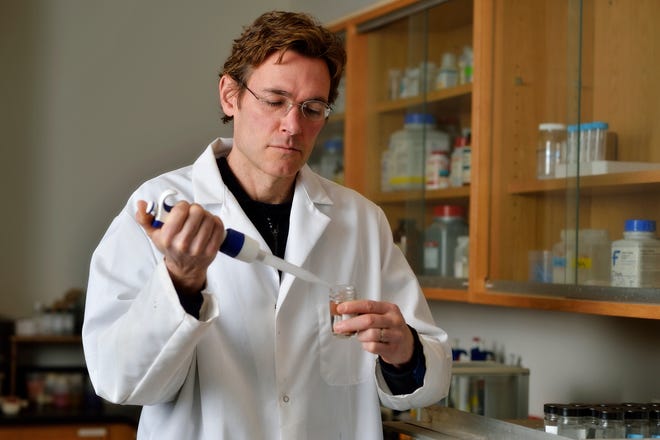 Virginia Tech Civil & Environmental Engineering professor Marc Edwards works in his university lab.