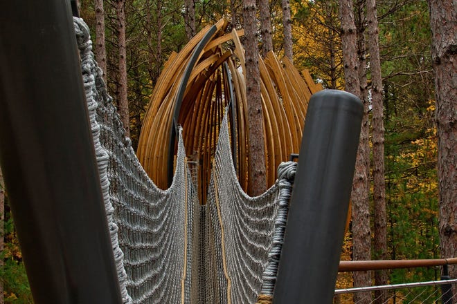 "Whiting Forest Canopy Walk," by Cathy Bragiel of Pinconning. Midland's new tourist attraction takes visitors on a quarter-mile-long elevated route through the trees. When Bragiel got to the narrow rope bridge, "I used a wide-angle lens and got real close to take the shot," she said.  The result is a photo of dramatic angles that makes you think twice about crossing. In fact, she said, 
"I still haven't walked across the bridge yet."