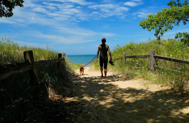 "Dog Friendly Parks," by Stephen Hughes of Kalamazoo. In a scene familiar to most Michigan residents, a girl and her pup walk down a sandy path to the beach at Port Crescent State Park in Port Austin.
