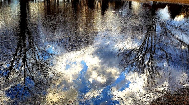 “ The Upside Down, ” by Emily Bergman of Mount Clemens. Bergman ’ s photo captures the reflection of the sky and trees in a giant puddle of melting snow and ice last winter, the water creating an impressionistic scene.