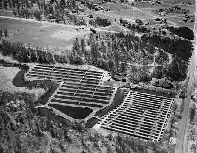 An aerial view of the hatchery buildings and rearing grounds of the Grayling Fish Hatchery, circa 1930.