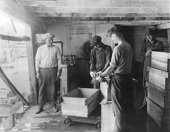 The catch is weighed and put into shipping boxes at the fish house at Bay Port in Michigan's thumb, circa 1930.