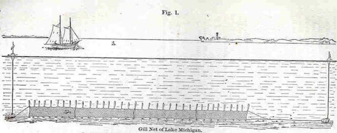 This drawing from circa 1871 shows a gillnet on Lake Michigan, set at the bottom of the water and kept vertical by cedar floats.