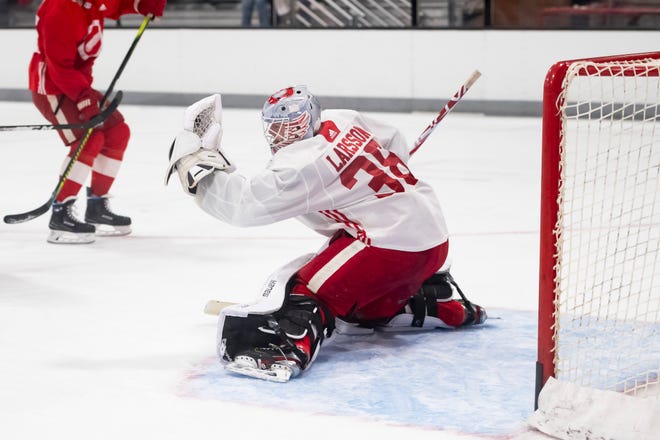 46. Filip Larsson, goaltender: Larsson was arguably the Wings’ best young goaltending prospect heading into the season, but he struggled mightily in his first pro season. He’ll look to rebound next season, and will be given the chance to do so.