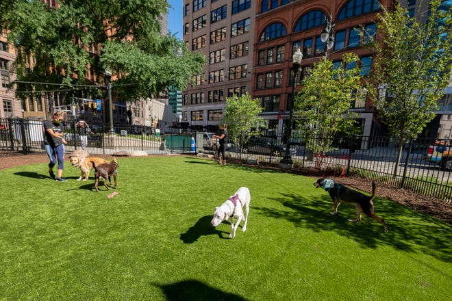 Dogs enjoy being off their leashes inside a fenced in area of a new dog park, in the Capitol Park neighborhood of Detroit, August 12, 2020.