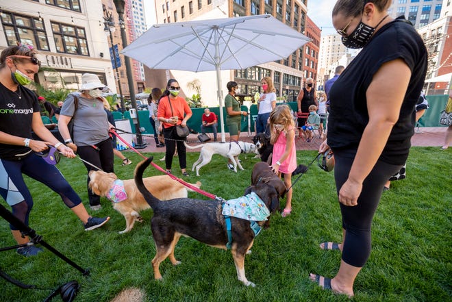 Dogs and their owners greet each other during the opening of a new dog park, in the Capitol Park neighborhood of Detroit, August 12, 2020.