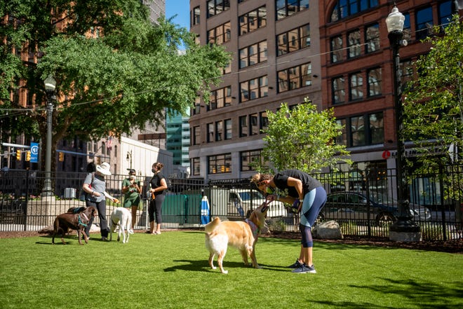 Dogs and their owners play together during the opening of a new dog park, in the Capitol Park neighborhood of Detroit, August 12, 2020.