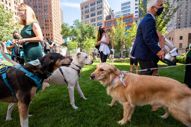 Dogs greet each other at the opening of a new dog park, in the Capitol Park neighborhood of Detroit, August 12, 2020.