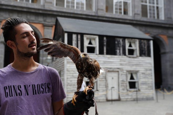 Lucio Ferrara, who works in bird control for the municipality in Piazza del Plebiscito, holds his eagle named, Iena, as he walks in the yard of the Royal palace where the house of U.S. civil rights campaigner Rosa Parks was rebuilt for public display by artist Ryan Mendoza, in Naples, Italy, Tuesday, Sept. 15, 2020. The rundown, paint-chipped Detroit house where Parks took refuge after her famous bus boycott is going on display in a setting that couldn't be more incongruous: the imposing central courtyard of the 18th century Royal Palace. (AP Photo/Gregorio Borgia)
