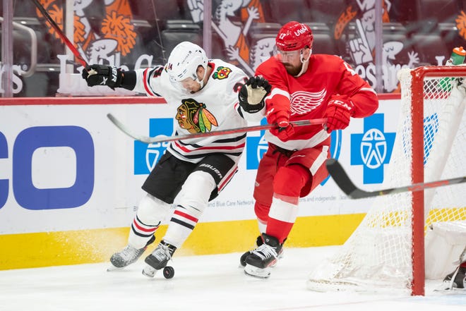 Detroit defenseman Filip Hronek and Chicago center Pius Suter battle for the puck in the second period during a game between the Detroit Red Wings and the Chicago Blackhawks, at Little Caesars Arena, in Detroit, April 15, 2021.