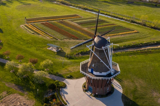 The tulip fields and windmill at Windmill Island Gardens park, in Holland, April 29, 2021.