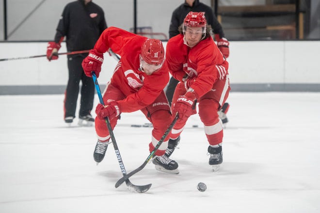 Right wing Filip Zadina, left, and left wing Tyler Bertuzzi battle for the puck during Red Wings training camp.