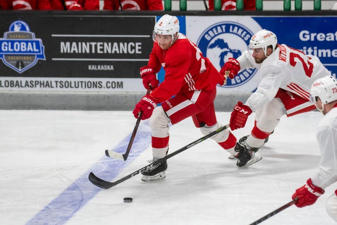 Center Pius Suter keeps the puck away from defenseman Luke Witkowski during Red Wings training camp.