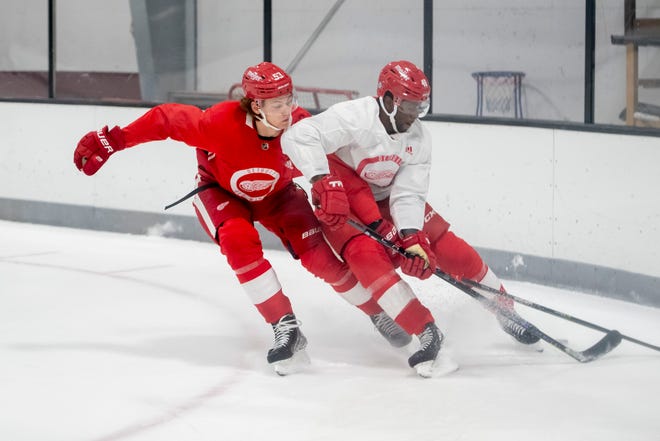 Defenseman Moritz Seider , left, and right wing Givani Smith battle for the puck during Red Wings training camp.