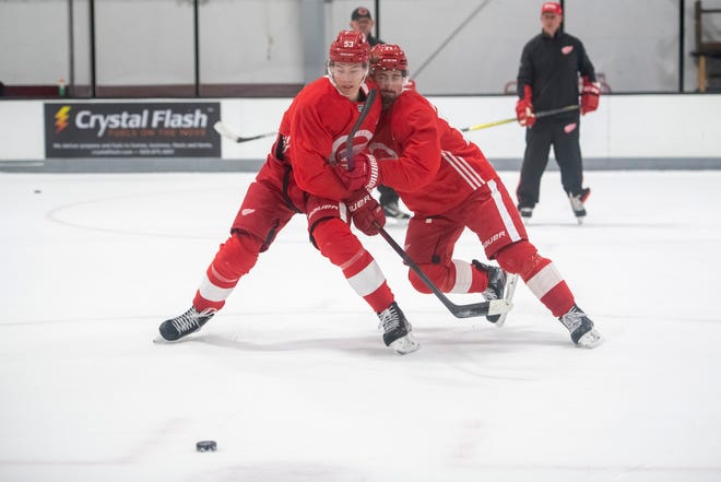 Defenseman Moritz Seider, left, and center Dylan Larkin battle for the puck during Red Wings training camp.