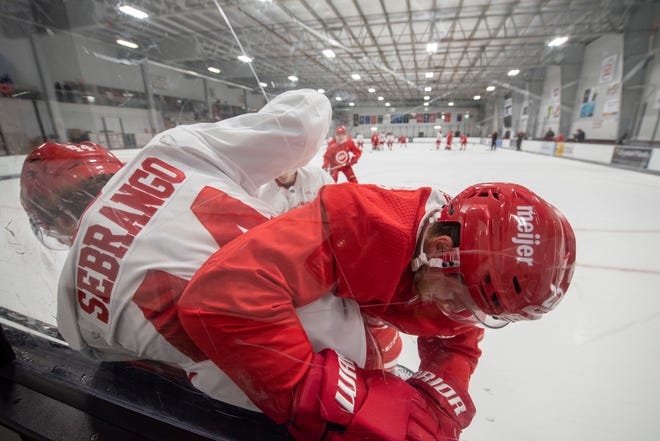 Defenseman Donovan Sebrango, left, and center Mitchell Stephens battle for the puck along the boards during Red Wings training camp.