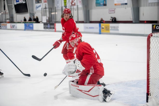 Goaltender Thomas Greiss stops a shot by left wing Tyler Bertuzzi during Red Wings’ training camp.