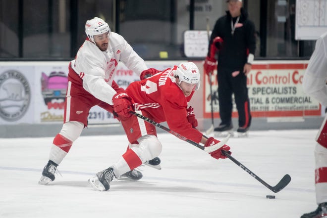 Defenseman Alex Cotton, right, keeps the puck away from center Robby Fabbri during Red Wings training camp.