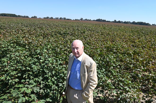 Haywood County Mayor David M. Livingston, 66, stands in a cotton field where Ford Motor Co. will build its new Blue Oval City campus.