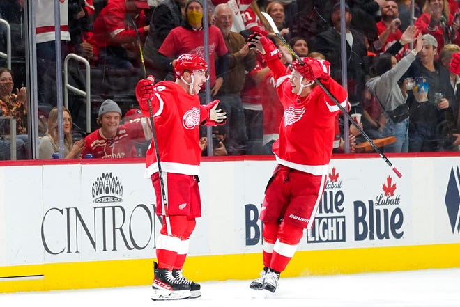 Detroit Red Wings left wing Adam Erne, left, celebrates his goal with Vladislav Namestnikov in the third period  on Wednesday at Little Caesars Arena in Detroit.