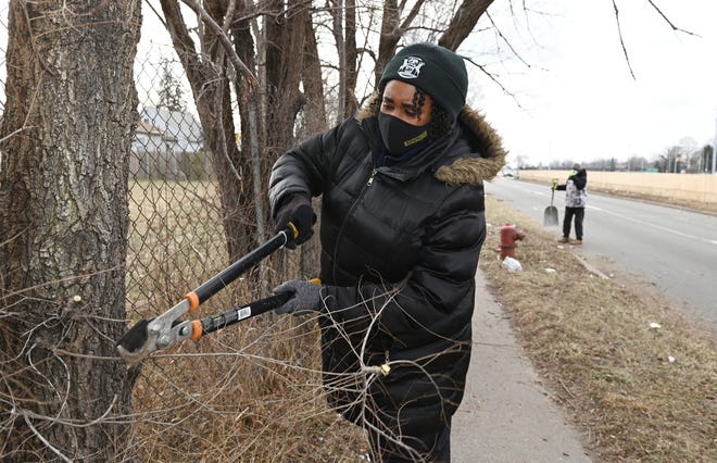 State Rep. Stephanie Young, D-Detroit, cuts tree branches in a vacant lot adjacent the Greenhouse Senior Apartments on the Southfield service drive in Detroit.