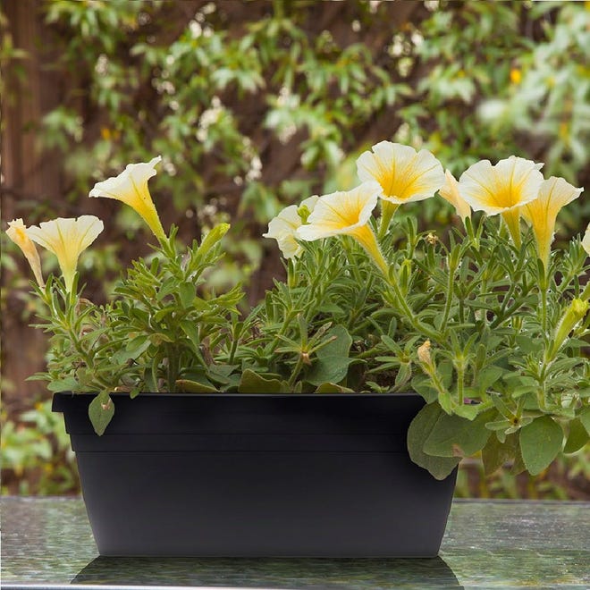 Lowe’s new Bloem pots and planters are made from recycled materials.