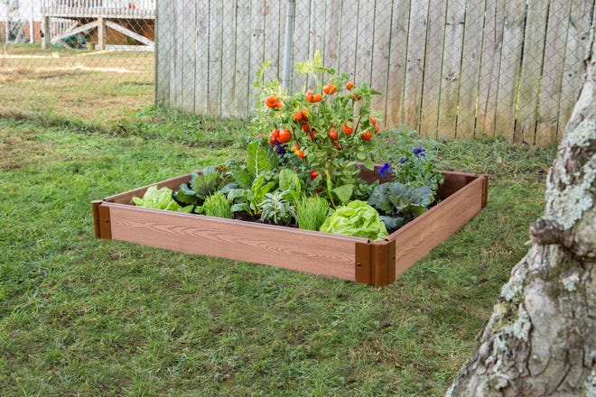 Vegetables are among the many plants that can be grown at home in raised beds.