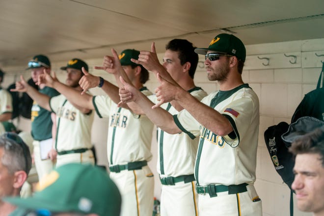Wayne State baseball players cheer on their teammates during Thursday's game.