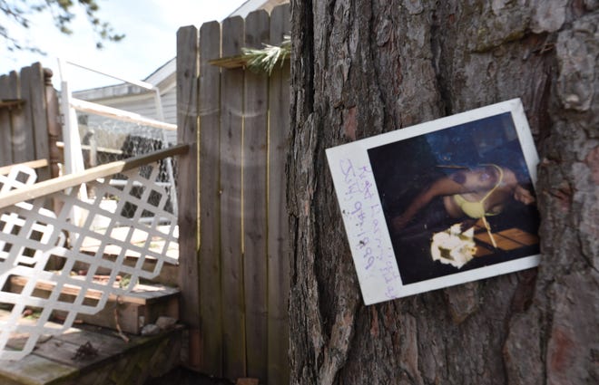 A photograph was embedded into a tree at the Nottingham Forest mobile home park by a tornado Friday, May 20, 2022.