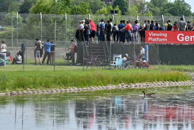 A Canada goose goes about its business as fans watch the at the Detroit Grand Prix on Belle Isle.
