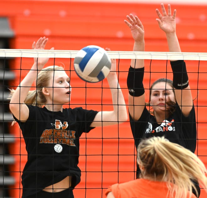 Avry Nelson (left), Abby Reck and the Northville volleyball team are No. 2 in Division 1 in the Sept. 19 state rankings.