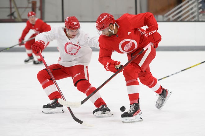 Defenseman Albert Johansson, left, and defenseman Jeremie Biakabutuka battle for the puck during the Red Wings’ training camp at Centre Ice Arena.