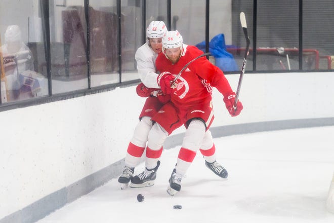 Right wing Matt Luff, left, and defenseman Steven Kampfer battle for the puck during the Red Wings’ training camp at Centre Ice Arena.
