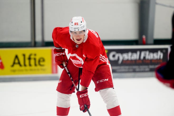 Left wing Elmer Soderblom waits for the play to start during the Red Wings’ training camp at Centre Ice Arena.