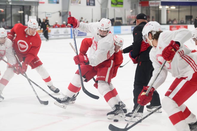 Center Dylan Larkin (71) and center Pontus Andreasson battle for a face off during the Red Wings’ training camp at Centre Ice Arena.