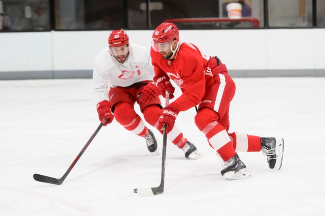 Center Joe Veleno, right, keeps the puck away from defenseman Brian Lashoff during the Red Wings’ training camp at Centre Ice Arena.