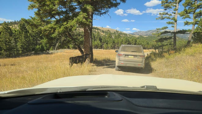 The 2023 Jeep Wagoneer L explores cow country, Montana.
