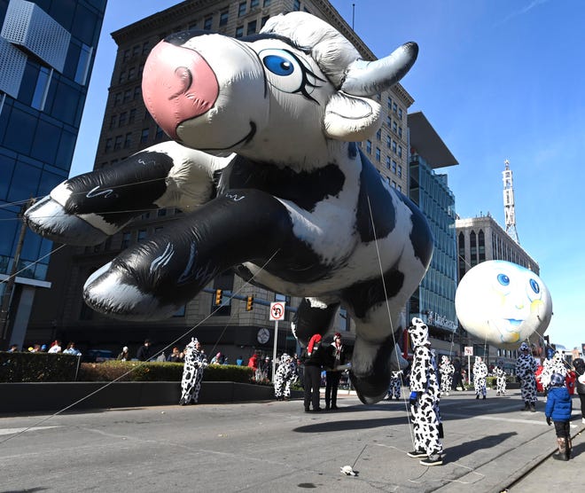 The Cow Jumps Over the Moon balloons during the parade.